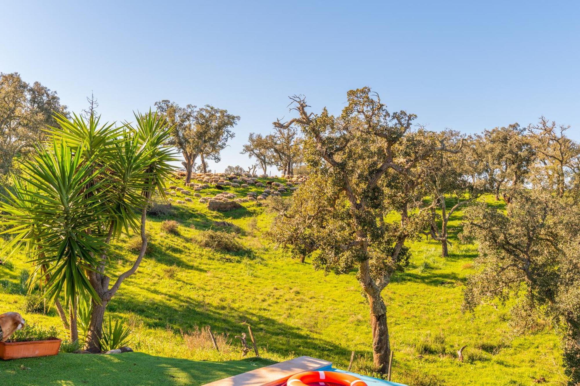 Sierra Melides Villa,Alentejo, Br2 With Private Pool, Br3 With Private Pool - Near Beach São Francisco da Serra 客房 照片